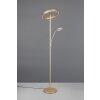 Trio lights Willis floor lamp LED gold, 2-light sources