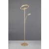 Trio lights Willis floor lamp LED gold, 2-light sources