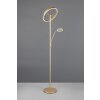 Trio lights Willis floor lamp LED gold, 2-light sources