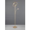 Trio lights Willis floor lamp LED gold, 2-light sources