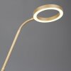 Trio lights Willis floor lamp LED gold, 2-light sources