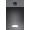 Trio lights Celeste pendant light LED brown, 1-light source