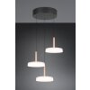 Trio lights Celeste pendant light LED brown, 1-light source