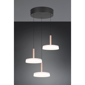 Trio lights Celeste pendant light LED brown, 1-light source