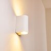 Outdoor Wall Light Pailly LED white, 2-light sources