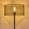 Conewago Floor Lamp black, 1-light source