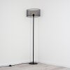 Conewago Floor Lamp black, 1-light source