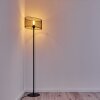 Conewago Floor Lamp black, 1-light source