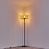 Conewago Floor Lamp black, 1-light source