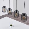 Conewago Pendant Light black, 4-light sources