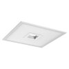 Ledvance Lights Plus wall and ceiling light LED white, 1-light source, Colour changer