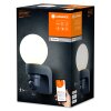 Ledvance Lights WIF outdoor wall light black, 1-light source, Motion sensor