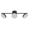 Ledvance Lights DECOR wall and ceiling light LED black, 3-light sources