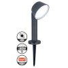 Lutec DAKOTA spike light LED anthracite, 1-light source