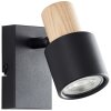 Brilliant lights Pini Wall spotlight black, 1-light source