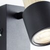 Brilliant lights Pini Wall spotlight black, 1-light source