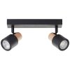 Brilliant lights Pini ceiling spotlight black, 2-light sources