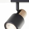 Brilliant lights Pini ceiling spotlight black, 2-light sources