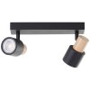 Brilliant lights Pini ceiling spotlight black, 2-light sources