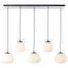 Brilliant lights Kaizen pendant light black, 5-light sources