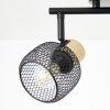 Brilliant lights Giada ceiling spotlight black, 2-light sources