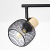 Brilliant lights Giada ceiling spotlight black, 4-light sources