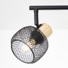 Brilliant lights Giada ceiling spotlight black, 4-light sources