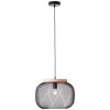 Brilliant lights Giada pendant light black, 1-light source