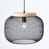 Brilliant lights Giada pendant light black, 1-light source