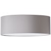 Brilliant lights Anneke ceiling light white, 2-light sources