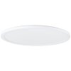 Brilliant lights Sorell Panel LED white, 1-light source, Remote control