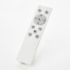 Brilliant lights Tanida Panel LED white, 1-light source, Remote control