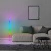 Brilliant lights Neele floor lamp LED white, 1-light source, Remote control