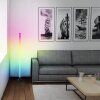 Brilliant lights Neele floor lamp LED black, 1-light source, Remote control