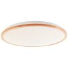 Brilliant lights Bario ceiling light LED white, 1-light source, Remote control