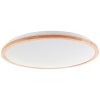 Brilliant lights Bario ceiling light LED white, 1-light source, Remote control