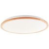 Brilliant lights Bario ceiling light LED white, 1-light source, Remote control