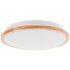 Brilliant lights Bario ceiling light LED white, 1-light source