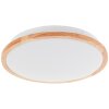 Brilliant lights Bario ceiling light LED white, 1-light source