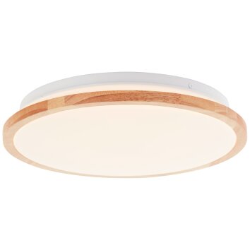 Brilliant lights Bario ceiling light LED white, 1-light source