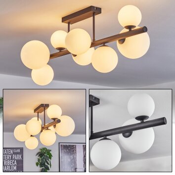 Chehalis ceiling light, globe light white, 8-light sources