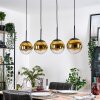 Gastor hanging light, globe light, pendant light gold, clear, 4-light sources