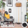 Cando floor lamp Ecru, black, 1-light source