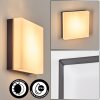 Sneslev outdoor wall light, wall light black, 1-light source, Motion sensor