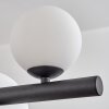 Chehalis globe light, pendant light white, 10-light sources