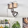 Pehefito ceiling light, ceiling spotlight grey, Ecru, 1-light source