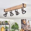 Pehefito ceiling light, ceiling spotlight grey, Ecru, 4-light sources