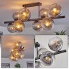 Gastor ceiling light, globe light clear, Smoke-coloured, 8-light sources