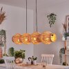 Cardeira hanging light, pendant light black, 4-light sources