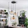 Gastor hanging light, globe light, pendant light 30 cm Amber, clear, 3-light sources